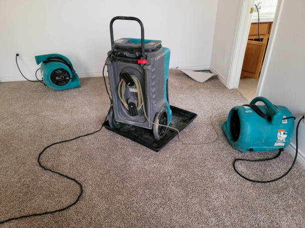 Best Water damage restoration services  in Remgton, IN