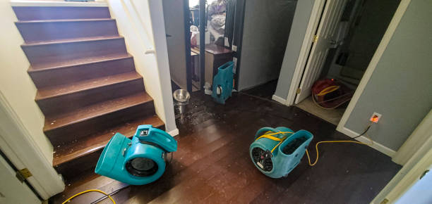 Best Flooded house restoration  in Remgton, IN