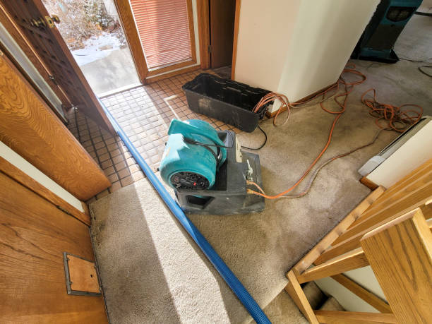 Best Fire Damage Restoration  in Remgton, IN