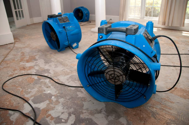 Best Emergency water damage restoration  in Remgton, IN