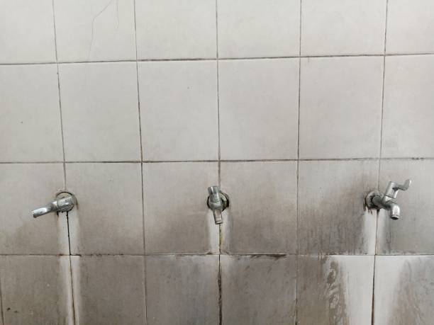 Best Commercial water damage restoration  in Remgton, IN